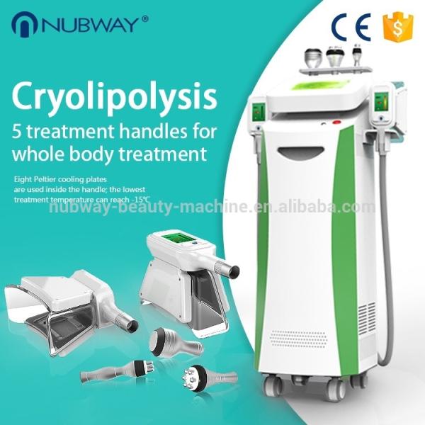 5 handles Coolsculption cryolipolysi fat freezing / slimming cryolipolysis machine
