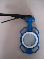ISO & CE Certificate ANSI Class 125 / 150 Wafer Butterfly Valve Disc Coated Nylon