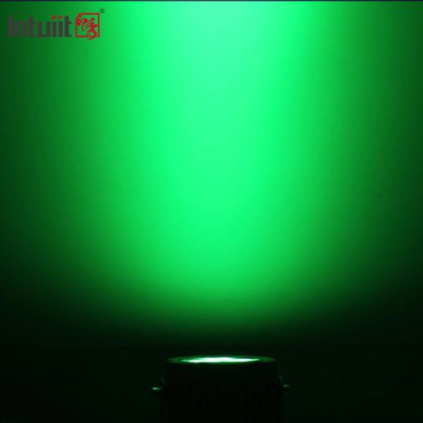 Фары ландшафта СИД украшения 24В рождества на открытом воздухе