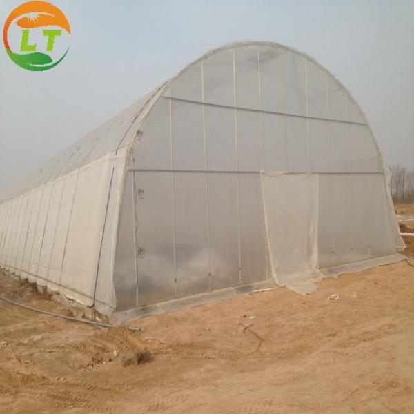 Customized Size Mushroom Growing System for Microgreens in High Tunnel Greenhouse