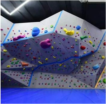 10-дюймовый Gecko King 2018 Скалолазание стены держит в разных цветах для чередования