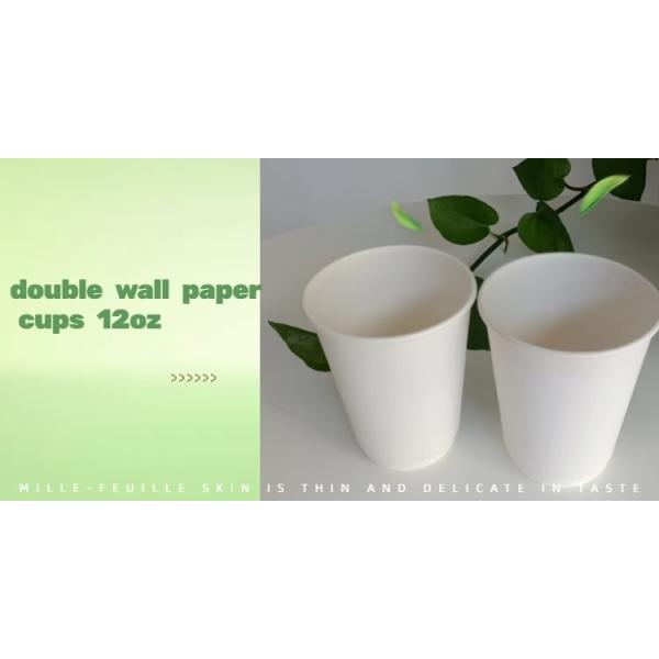 Disposable 12oz 300g 18PE 250 Double Wall Paper Cups 2.5oz-22oz Customized Request