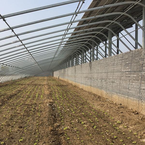Estufas solares agrícolas com sistema de ventilação e espaço de arco personalizável