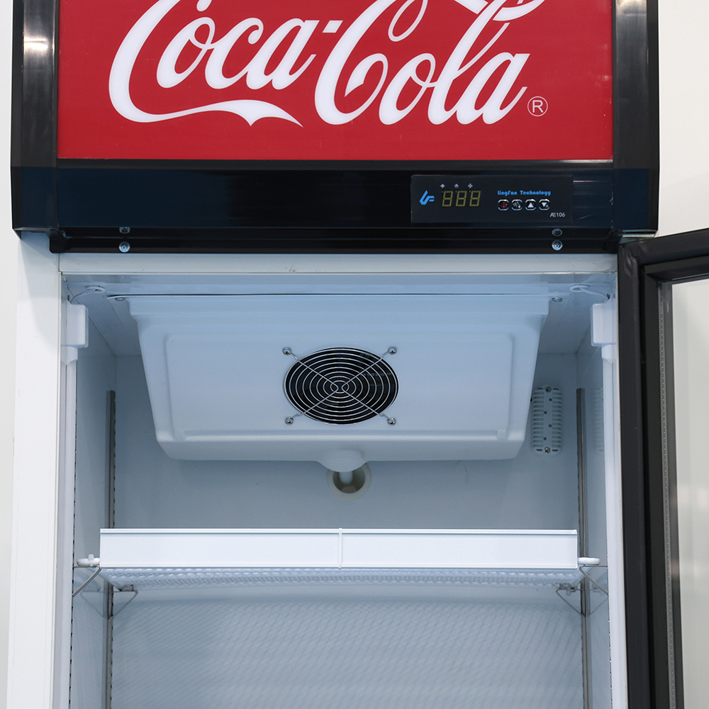 Eco Friendly Display Glass Door Freezer 330L Beverage Storage Commercial Cooler