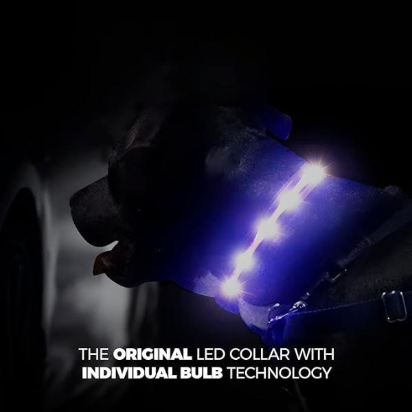 Customization Service Provided Waterproof USB Rechargeable Silicone LED Dog Collar