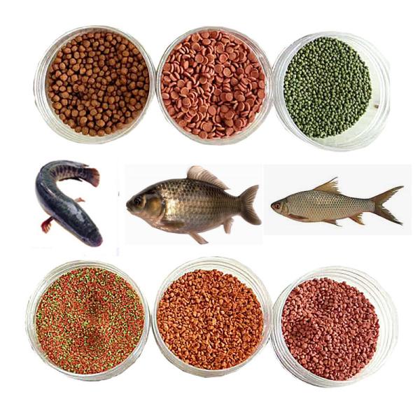 Linha de produção de extrusores de parafusos duplos para alimentos para animais agrícolas Máquina de pellets para alimentos para peixes