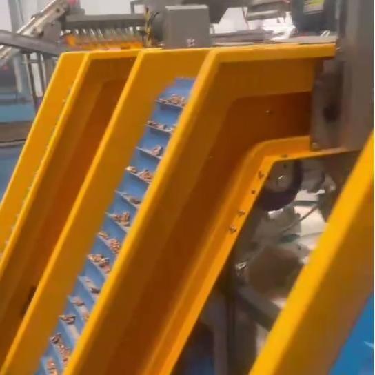 Multi-grade Walnut Kernel Sorting Machine With AI-Driven High-Definition Scanning Stable Airflow Uniform Distribution Smart Accurate