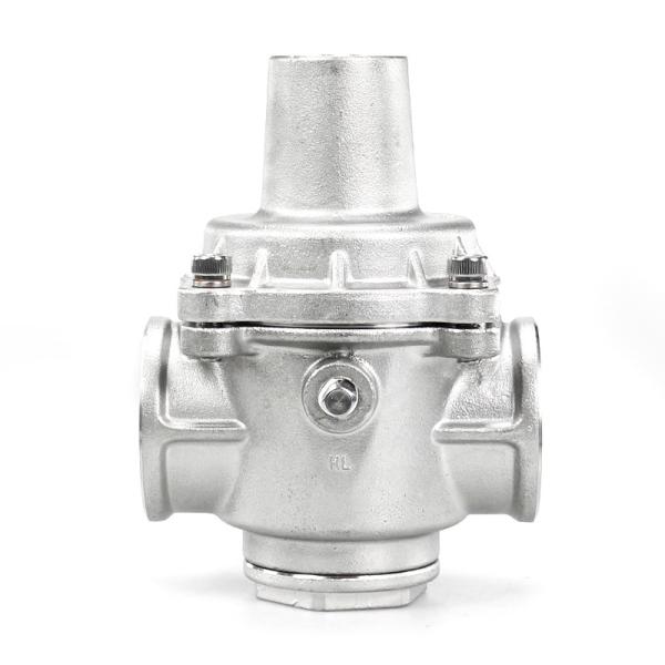 Stainless Steel Pressure Exhaust Valve 1 Inch 2 Inch 3 Inch 4 Inch