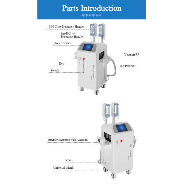 Vacuum Anti Cellulite RF Weight Loss Equipment Slimming Machine Weight Loss