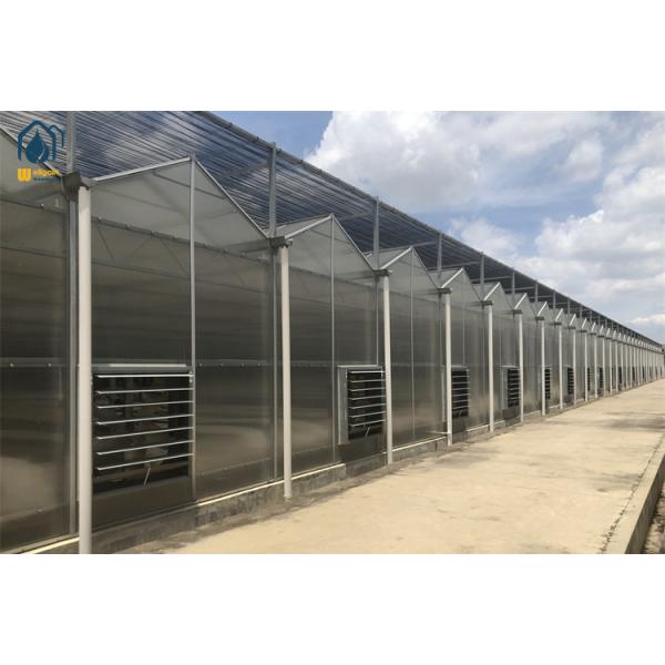 Commercial Polycarbonate Green House Customized Heavy Duty Greenhouse For Fast Growing Crops