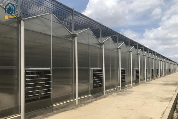 Indoor Farming Polycarbonate Green House For Fast Growing Crops