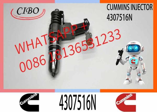 Inyector de combustible de la serie N14 de calidad remanufacturada Assy 3087733 parte del inyector NO. 4307516N 3411767 todo en venta