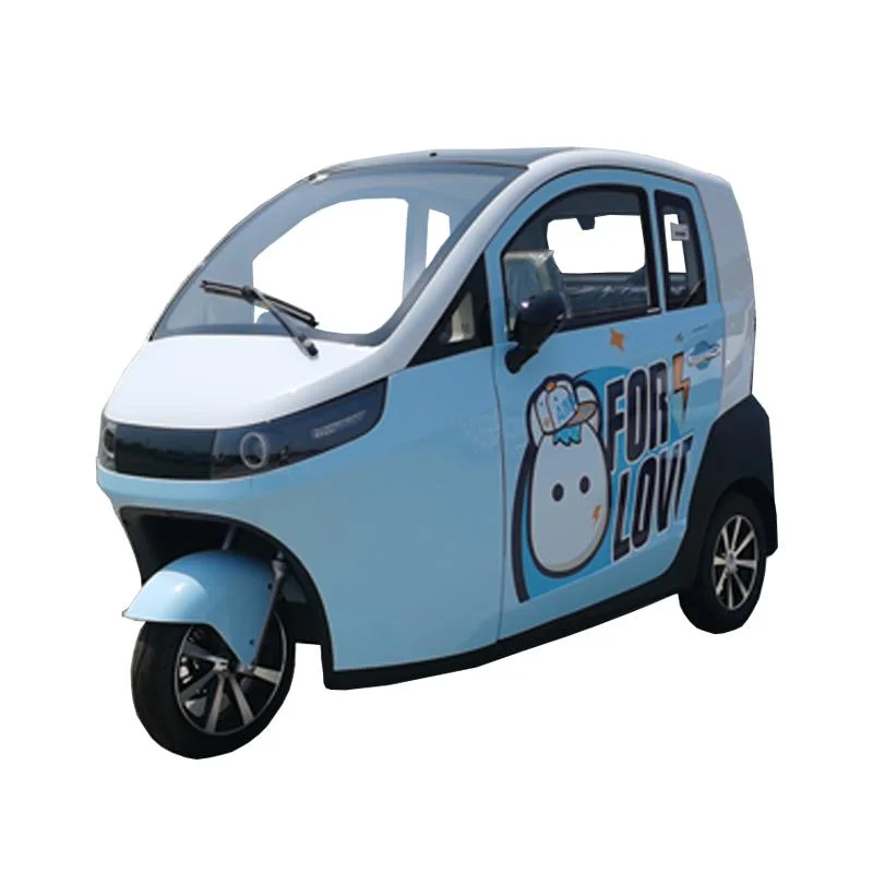 Raysince electrical mini car EEC certificated electric three-wheelers hot sales to Europe