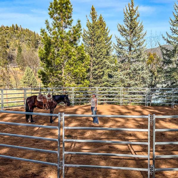 Powder Coated + Galvanized Horse Corral Panels Customized 1.8m Height