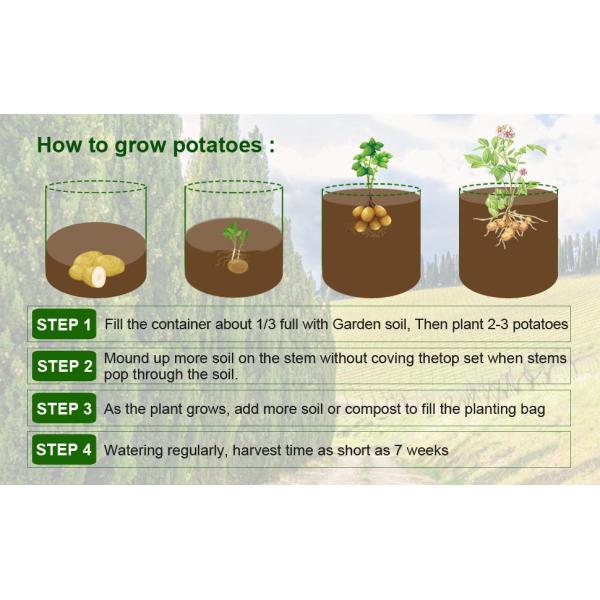 Potato Grow Bags, 4 Pack 10 Gallon With Flap And Handles Planter Pots For Onion, Fruits, Tomato, Carrot - Green