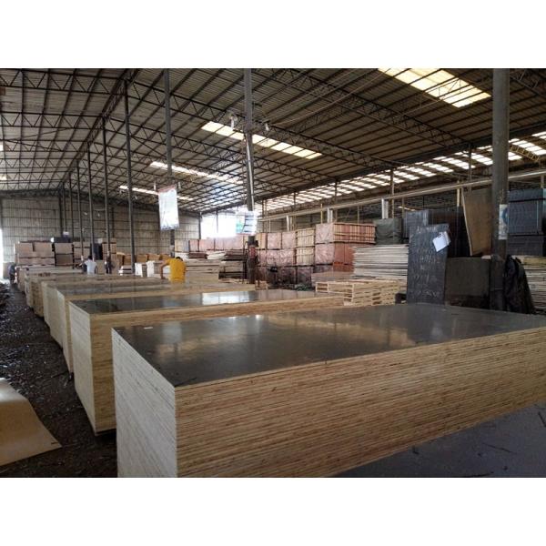 Finger Jointed Core Poplar 20mm Film Faced Plywood