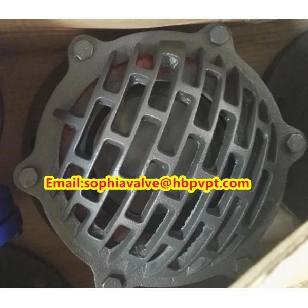 BS4504 flange grey iron valve cover foot valve