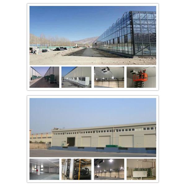 газ ребра 12mm разморозить тип DD блока охладителя испарителя воздушного охладителя холодной комнаты