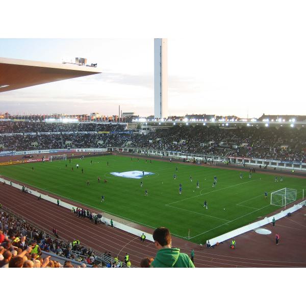 Outdoor Fake Grass Football Field  For 11 People Standard Game Stadium