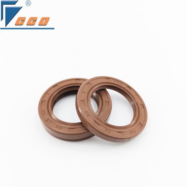 FKM Oil Seal Ring Spring Performance in High Pressure and High Temperature Conditions