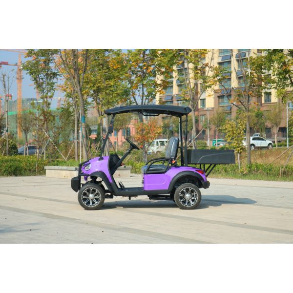 Multi-Purpose Utility Vehicle 2-Seater Golf Cart with Cargo Bed