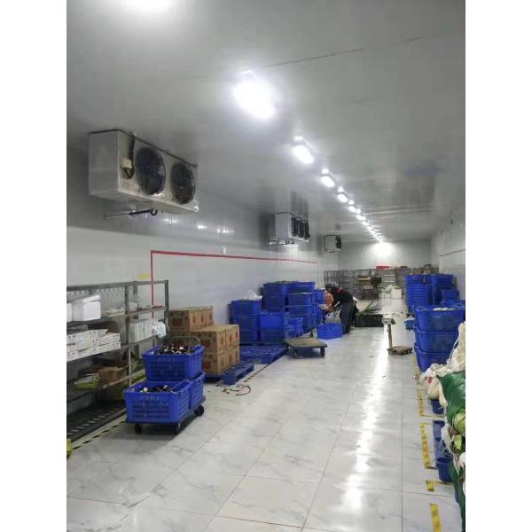 Unité de réfrigération de chambre froide de congélateur de stockage de poissons froids de compresseur de Copeland