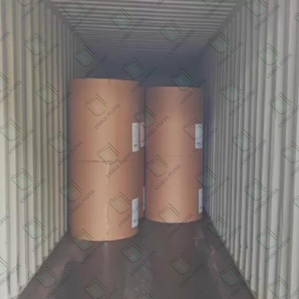 Papel revestido de peso leve dobrado Papel revestido de dois lados LWC liso