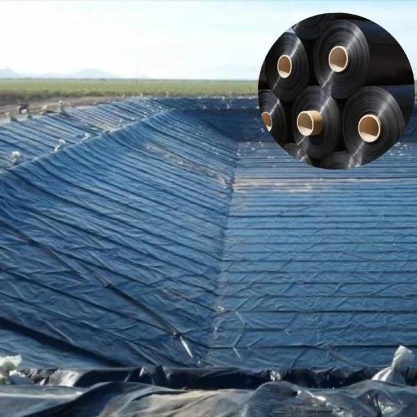 Direct Supply 0.5mm HDPE Sheet Polyethylene Film for Aquaculture Length 50-200m / Roll