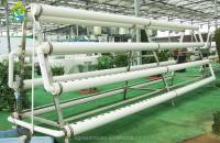 Equipamento crescente hidropônico do sistema hidropônico Soilless vertical da estufa