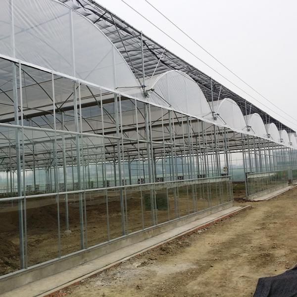 Durable Steel Tructure Vegetable Growing Poly Tunnel Agricultural Greenhouse