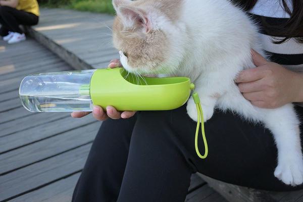  				400ml Plastic Cat Water Bottle 	        