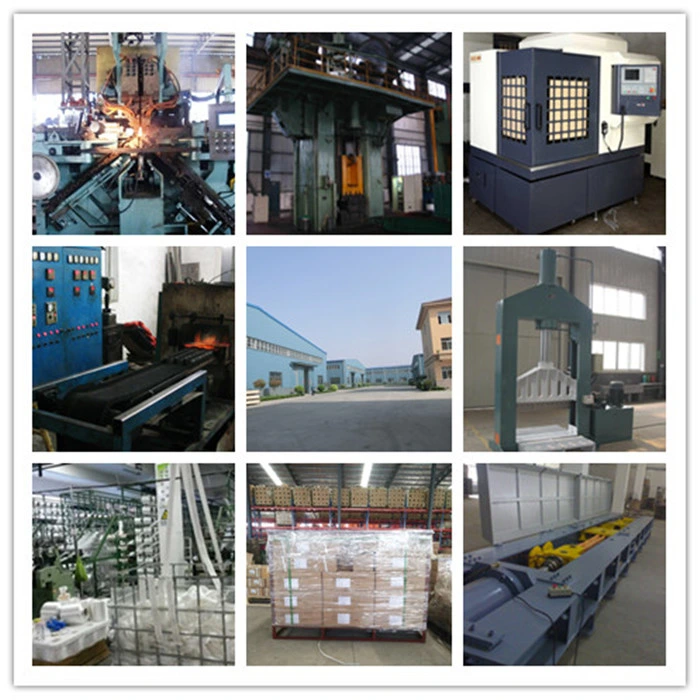 Деформирование в холодном состоянии 316/304 сережки европейца d нержавеющей стали