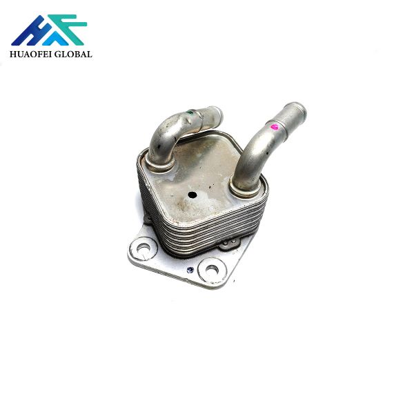 Automatic Used Transmission Parts F221 Transmission Cooler Assembly For BMW