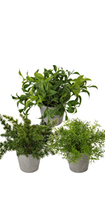 Artificial Bonsai Tree Juniper Faux Plants Indoor Fake Plants Decor with Ceramic Pots for Home Table Office Desk