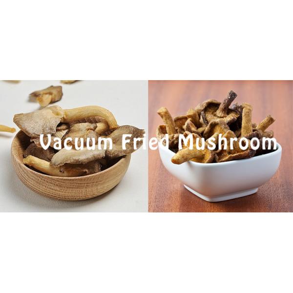 Stainless Steel 304 Vacuum Mushroom Frying Equipment Continuously Oil Filtration