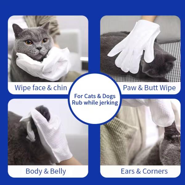 Convenient Pet Wipe Gloves Non Woven Dog Wipes Gloves Portable Safe Gentle Ingredients