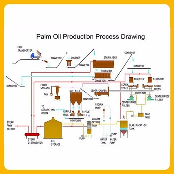 Palm Fruit Red Palm Oil Press Machine for High Productivity Palm Oil Extraction Processing Plant Competitive Cost