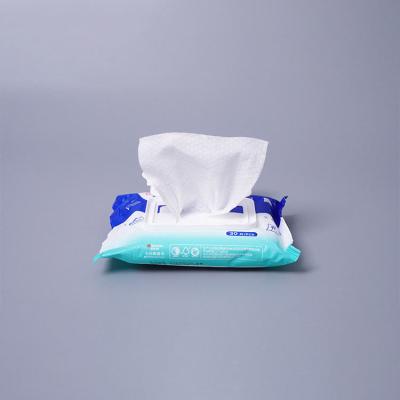 Disposable Cleaning Wet Wipes For White Shoes 30pcs/Bag Customized Logo