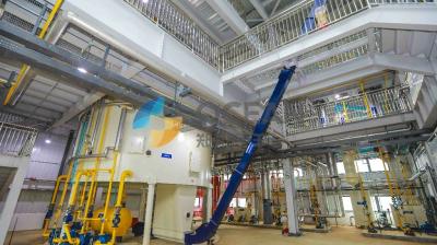 Linha de produção de petróleo bruta das sementes de algodão da planta de refinaria de petróleo do feijão de soja totalmente automático