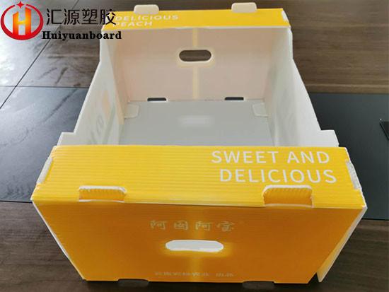 Watermark Printing Correx Packaging Boxes For Fruits