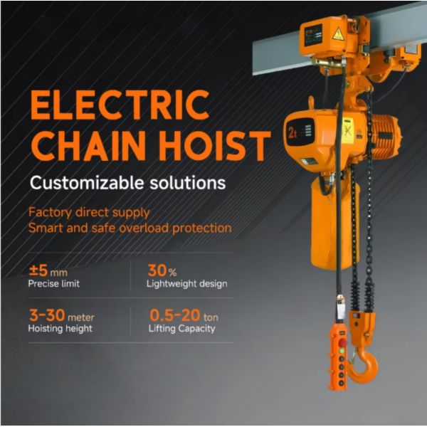 20t Max Lifting Load Electric Chain Hoist with Custom Voltage for Industrial Crane Applications