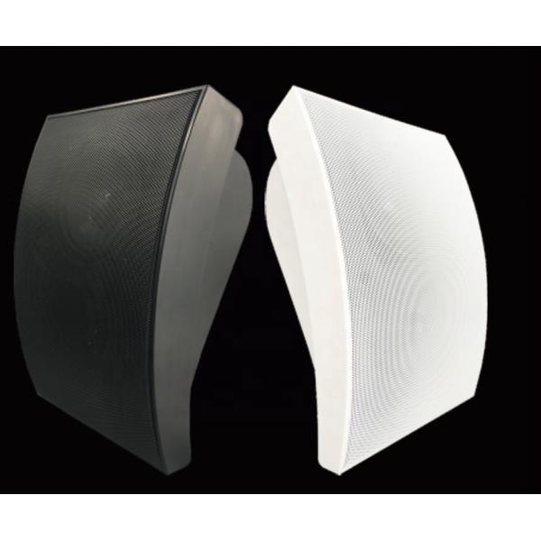 5W 10W Wall Speaker 4 Inch Woofer 1 Inch Tweeter ABS Speaker