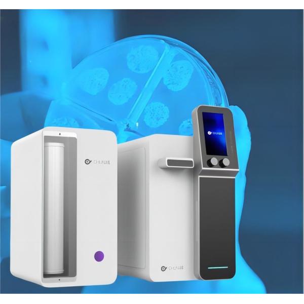 20L/H Type I II Custom Ultrapure Ro Water Filter System Distilled Water Machine