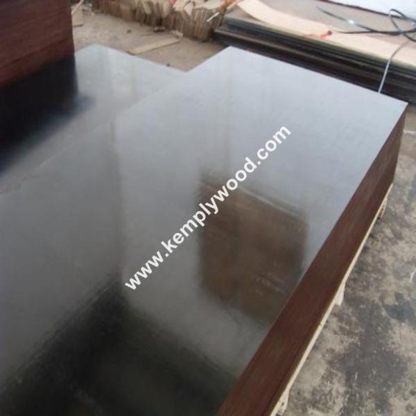 Two times hot pressed film faced plywood, Marine shuttering film faced plywood, Construction shuttering plywood
