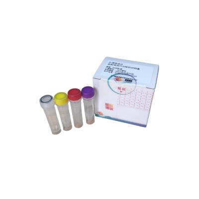 Bovine-Derived Component Real-Time PCR Detection Kit
