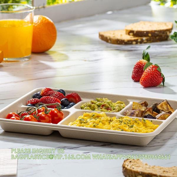 Compostable 6 Compartment Plates, 90 Pack Compartment Paper Plate, 12.5 * 8.6 inch Disposable School Lunch Trays