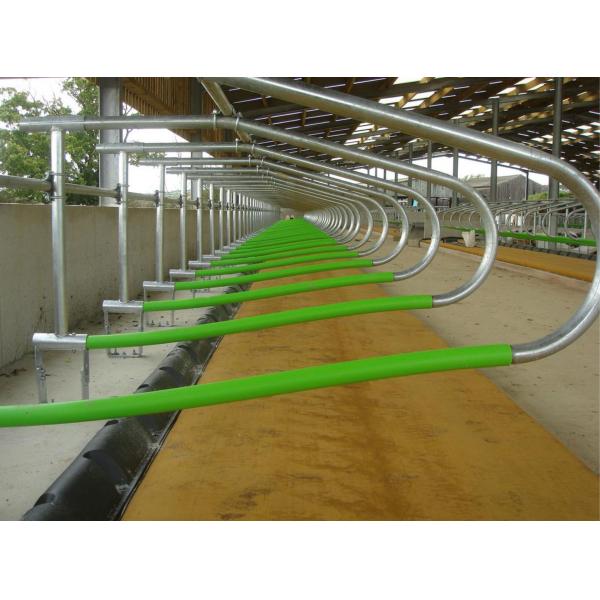 Indoor Cow Free Stall Dairy Barn Poultry Farm Equipment ISO9001 Approval