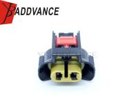 F094300 2 pin FCI Automotive Waterproof Female APEX Halogen Bulb Series Connector para automóvel