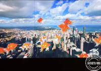 4K UHD 55