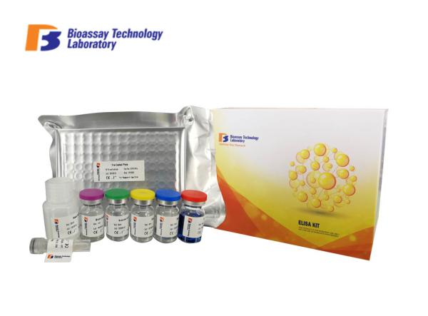 96 Wells Sort1 Human Elisa Kit High Precision / Sensitivity For Research